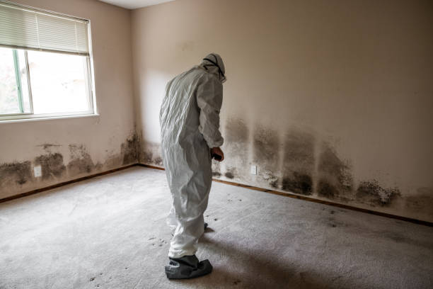 Best Emergency Mold Removal  in Ller, WA