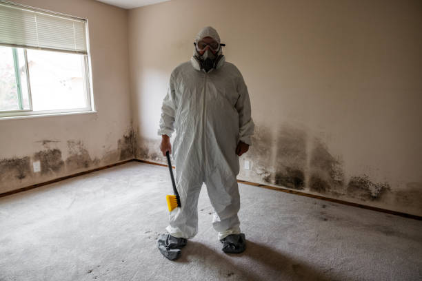 Best Commercial Mold Removal  in Ller, WA